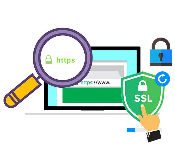 SSL certificate cartoon image - Adam Group